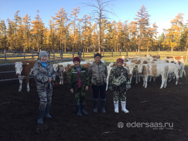 Погода тумул намский