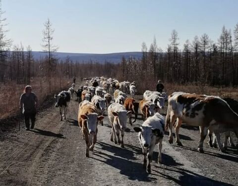 Карта среднеколымского района саха якутии